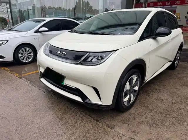 2026 BYD Dolphin