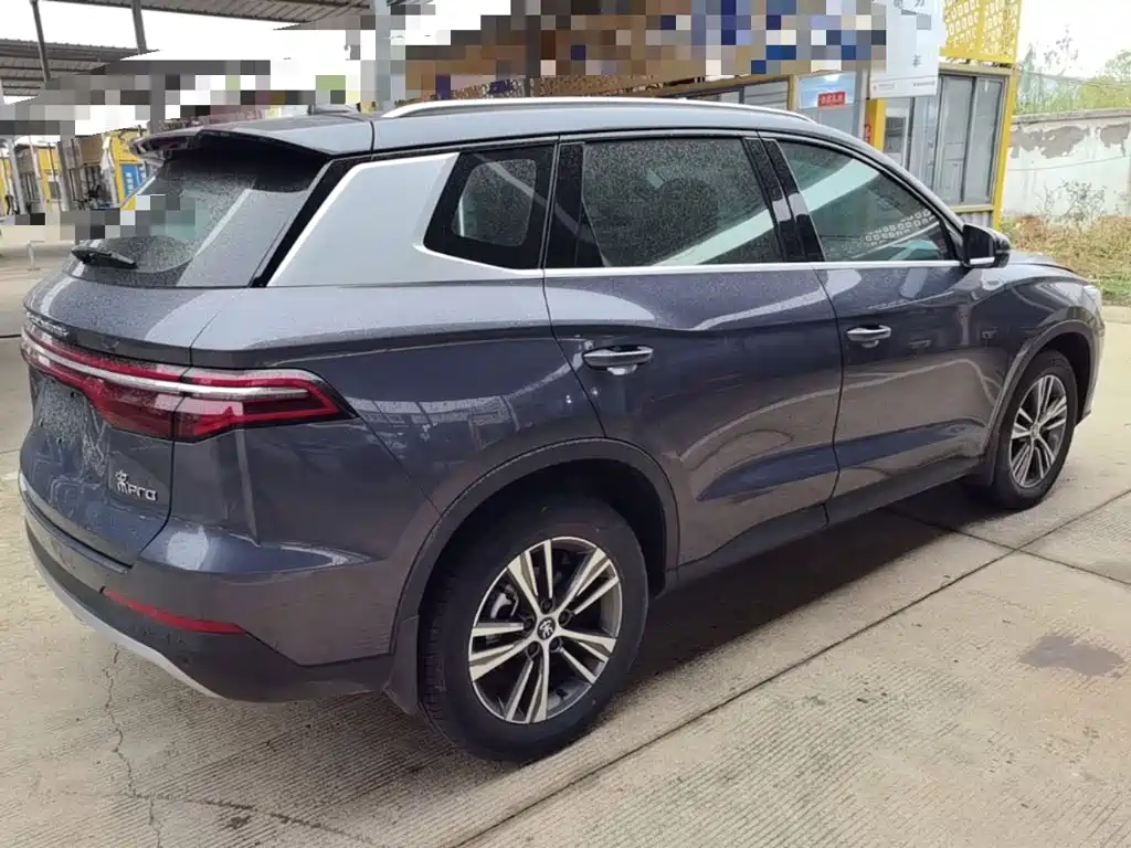 BYD Pro — миниатюра 7