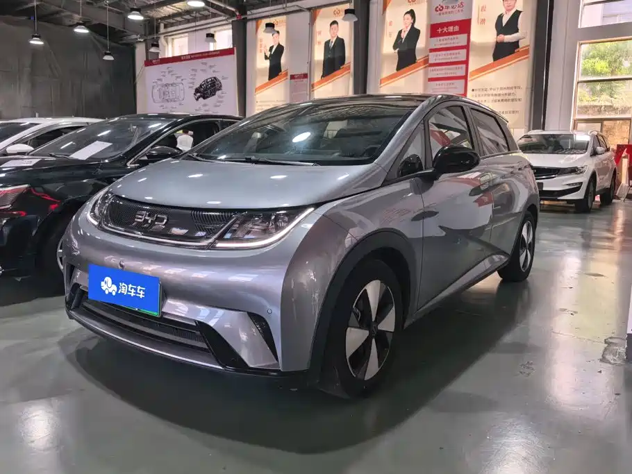 BYD Dolphin