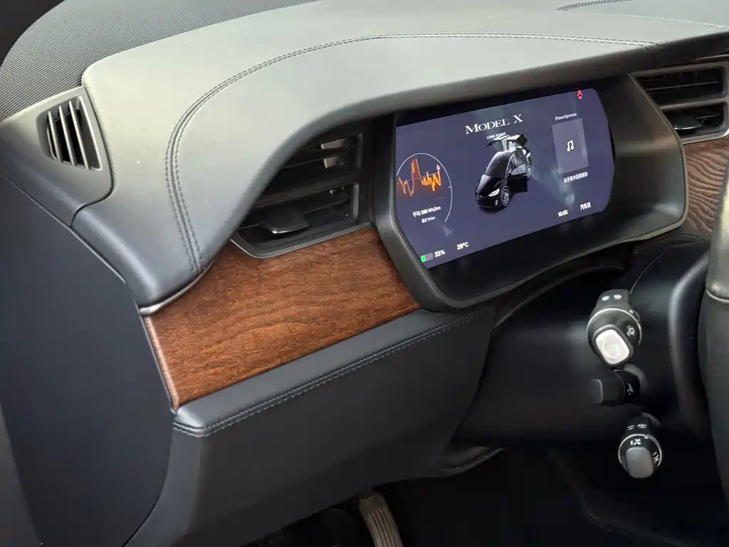 Tesla Model X — миниатюра 9