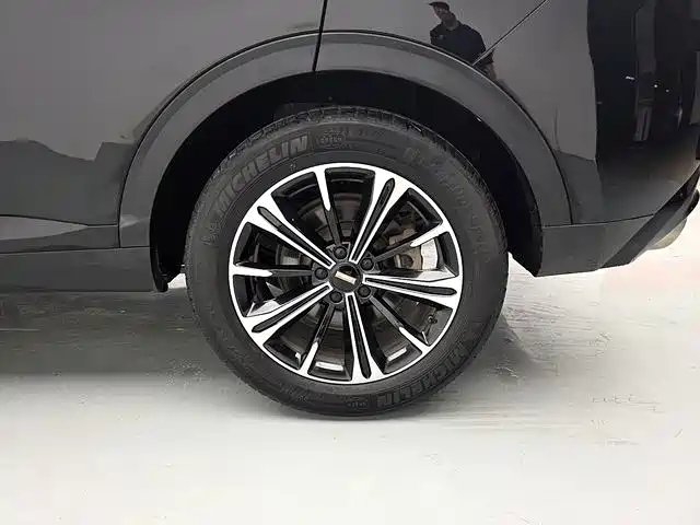 Wey Wey VV6 — миниатюра 14