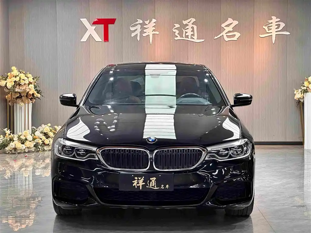 BMW 5 Series — миниатюра 2