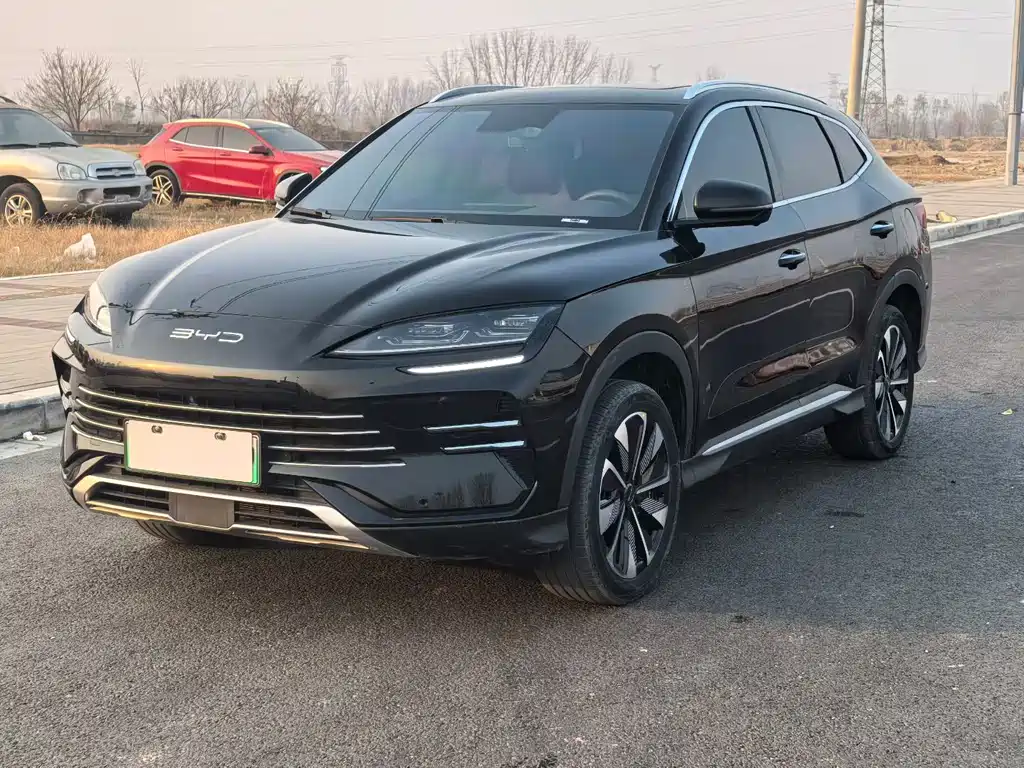 BYD SONGJIANG NEW ENERGY