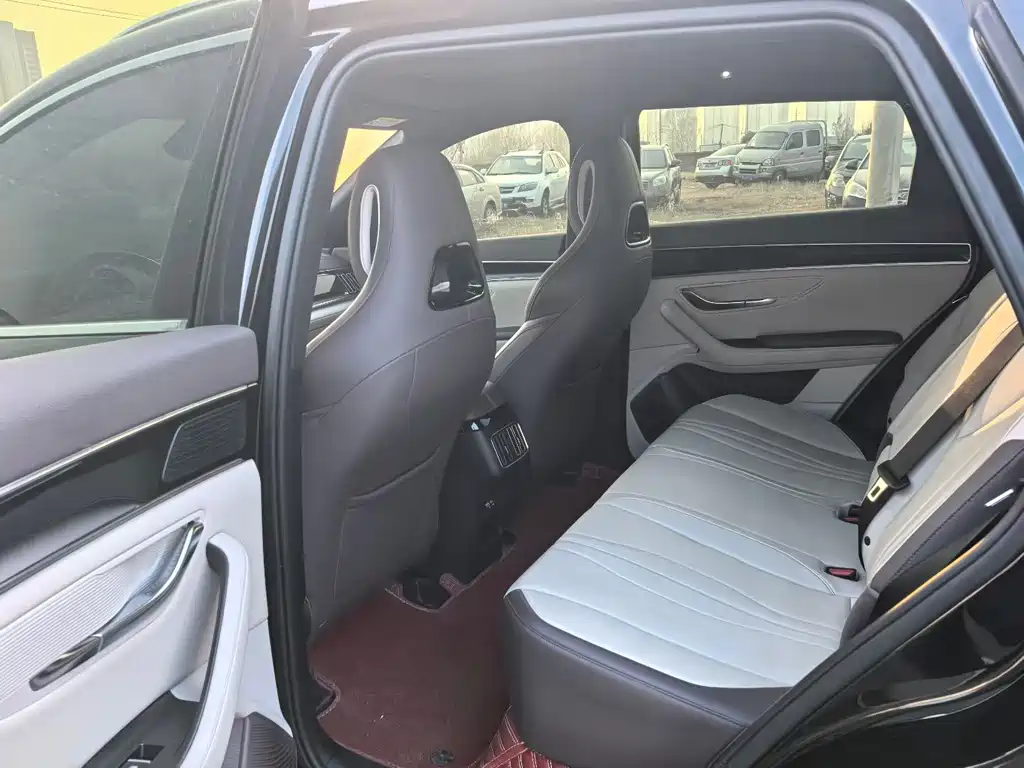 BYD SONGJIANG NEW ENERGY