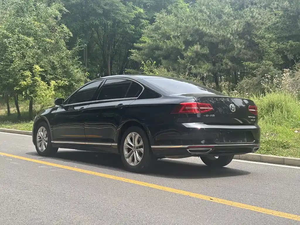 Volkswagen Magotan 2017 330TSI DSG Luxury