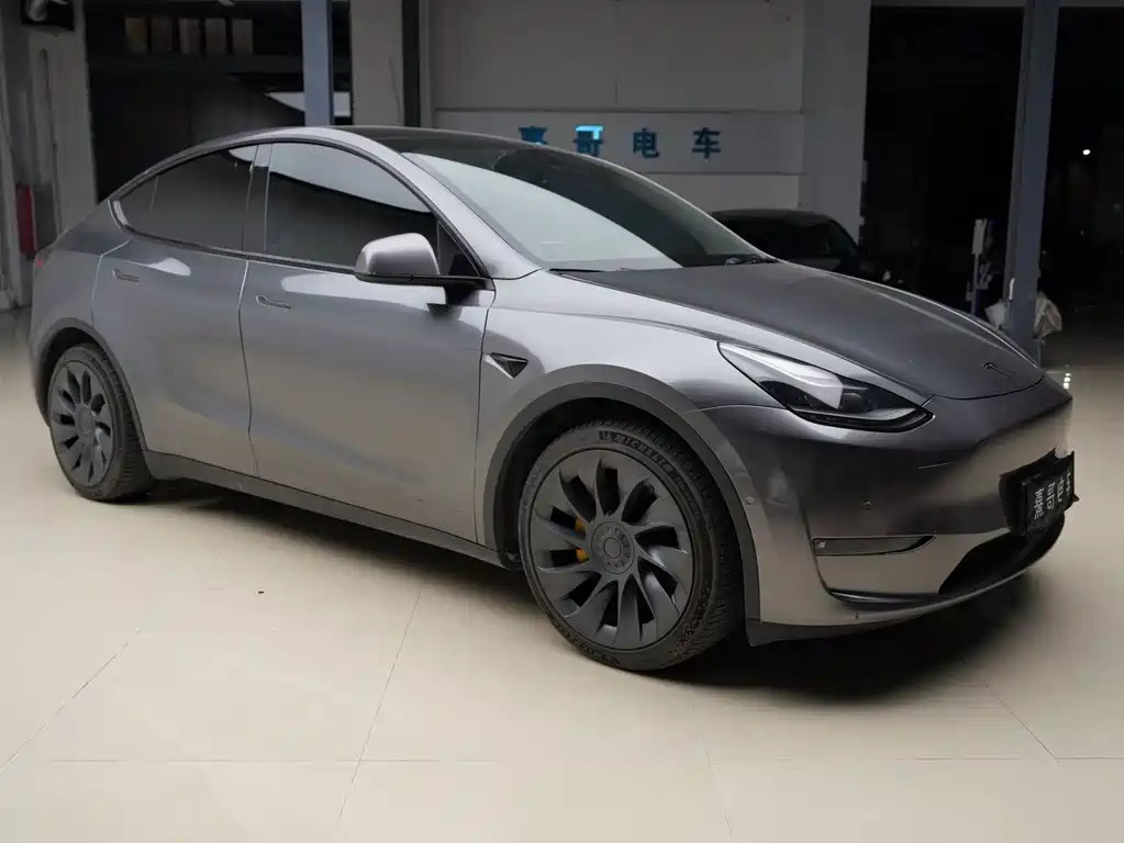 Tesla Model Y — миниатюра 3