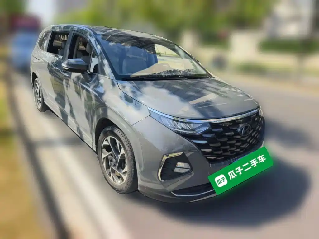Hyundai Custo — миниатюра 3