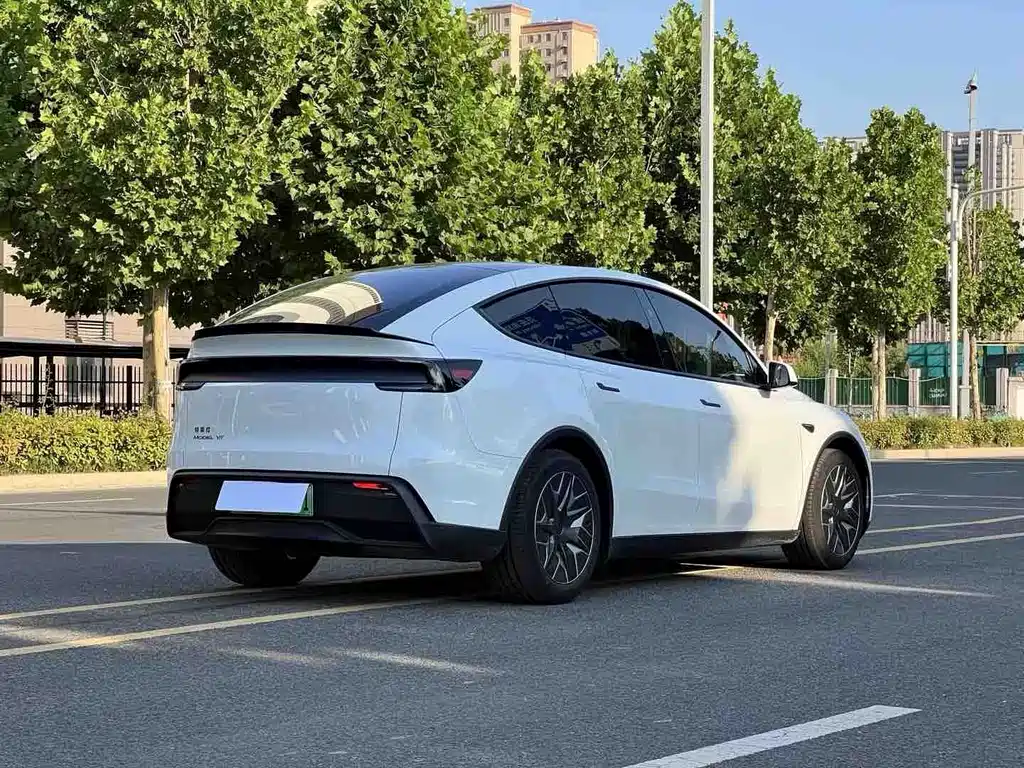 Tesla Model Y L