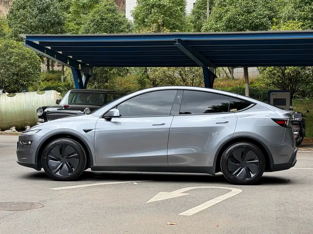 Tesla Model Y — миниатюра 4