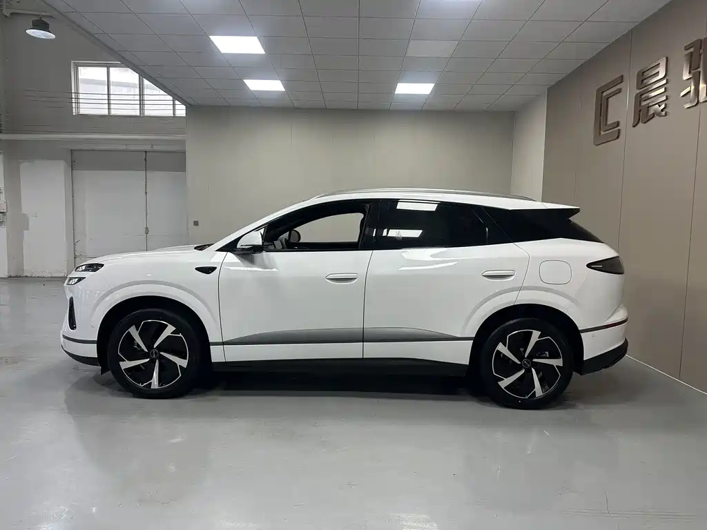 BYD Sea Lion 06 06 2025 DM-i 205 Pro