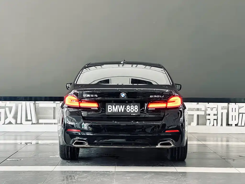 BMW 5 Series — миниатюра 3