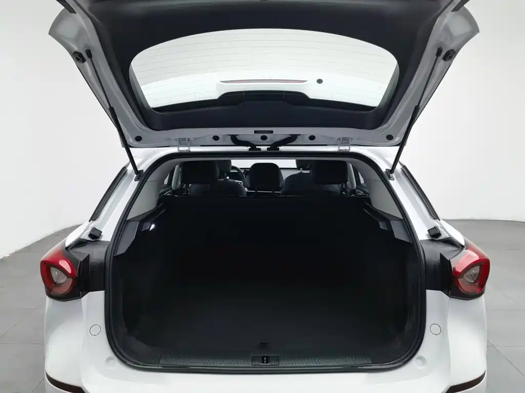MG MG ONE — миниатюра 16