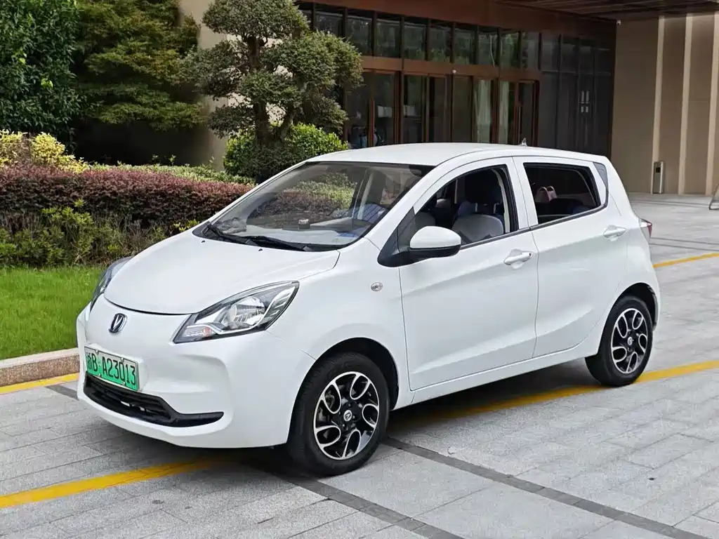 2022 Changan Benni EC/EV - zdjęcie 1 z 11