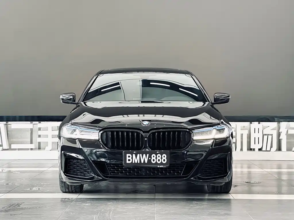 BMW 5 Series — миниатюра 2