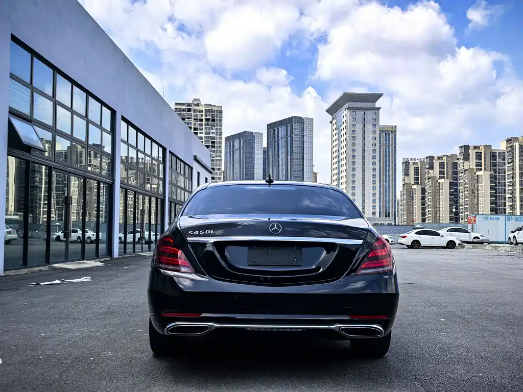 Mercedes-Benz S-Class S 2019 S 320 L