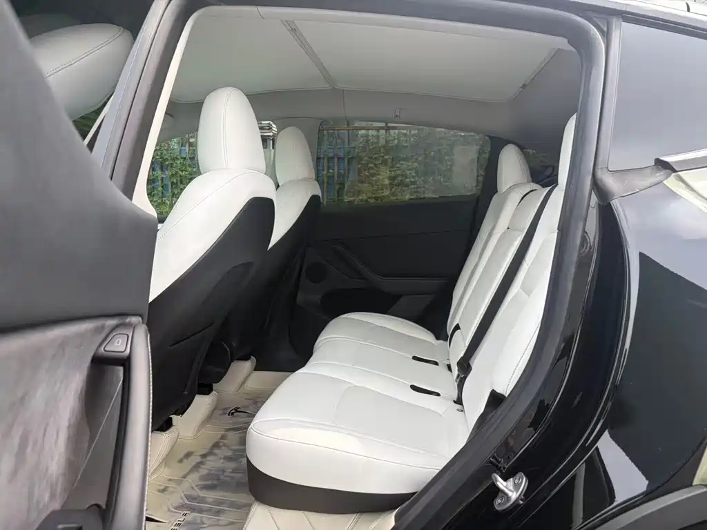 Tesla Model Y — миниатюра 10