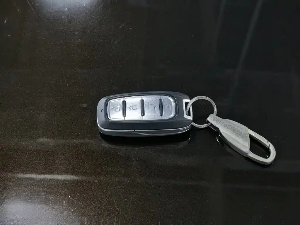 Yema Mustang T70 — миниатюра 19