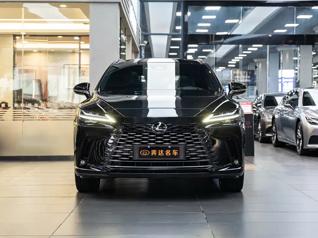 Lexus RX New Energy — миниатюра 2