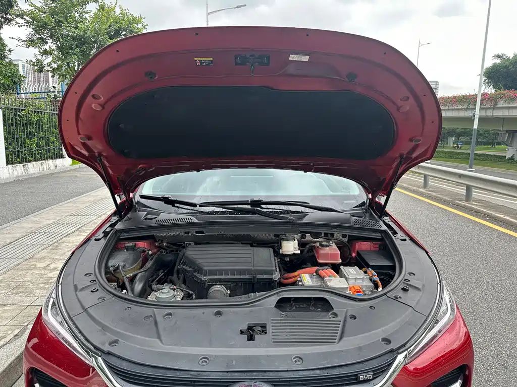 BYD Tang New Energy — миниатюра 13