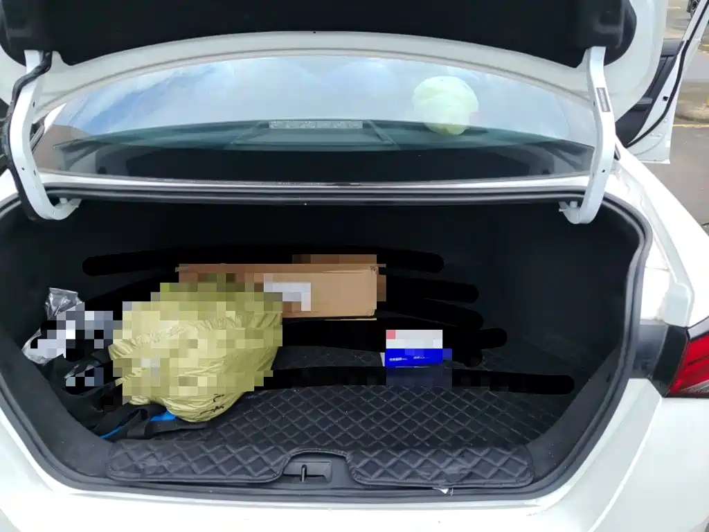 Nissan Sylphy — миниатюра 20