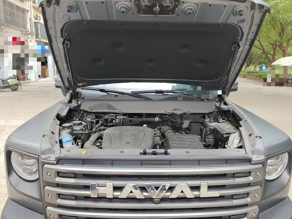 Haval Menglong New Energy — миниатюра 16