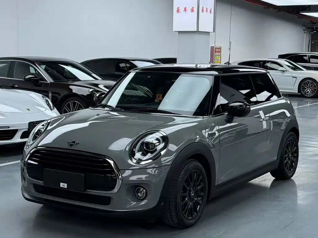 Mini Mini 2020