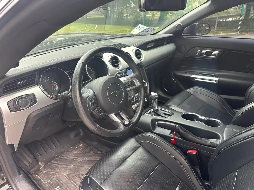 Ford Mustang — миниатюра 12