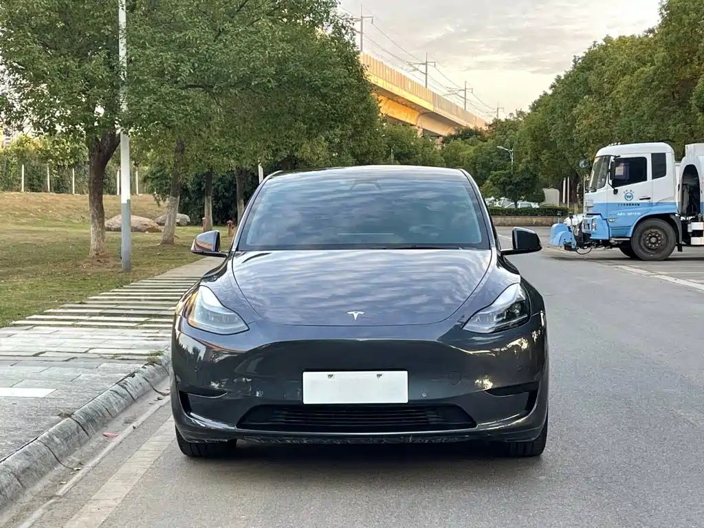 Tesla Model Y — миниатюра 3