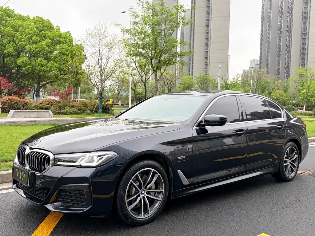 BMW 5 Series New Energy 2023