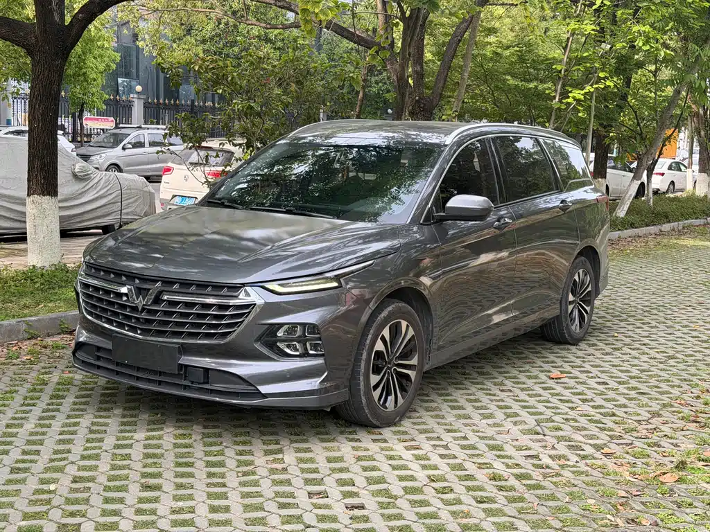 Wuling Victory 2021