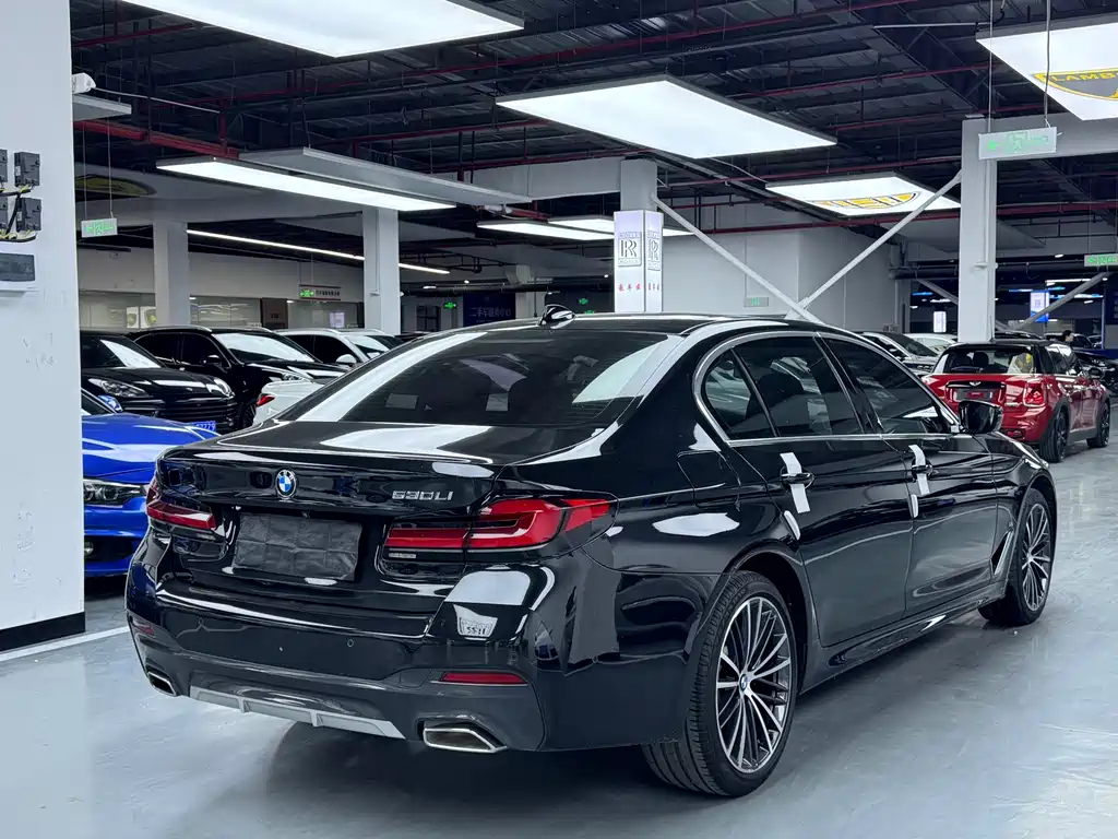 BMW 5 Series - фото 17