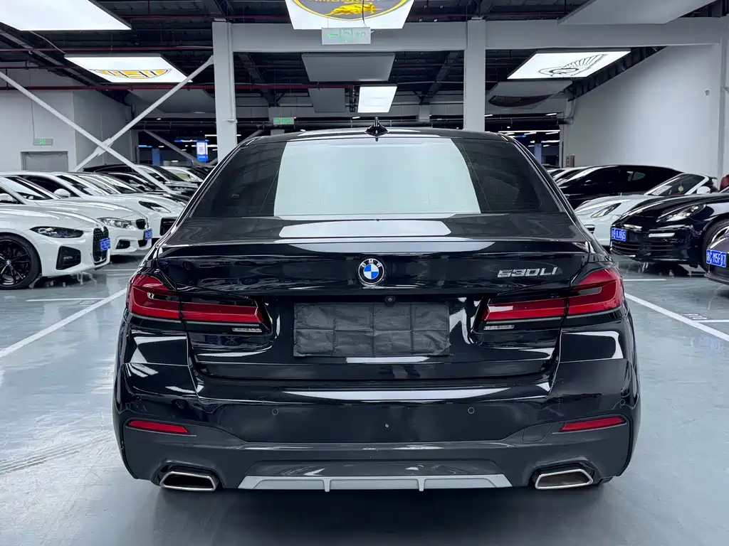 BMW 5 Series - фото 18
