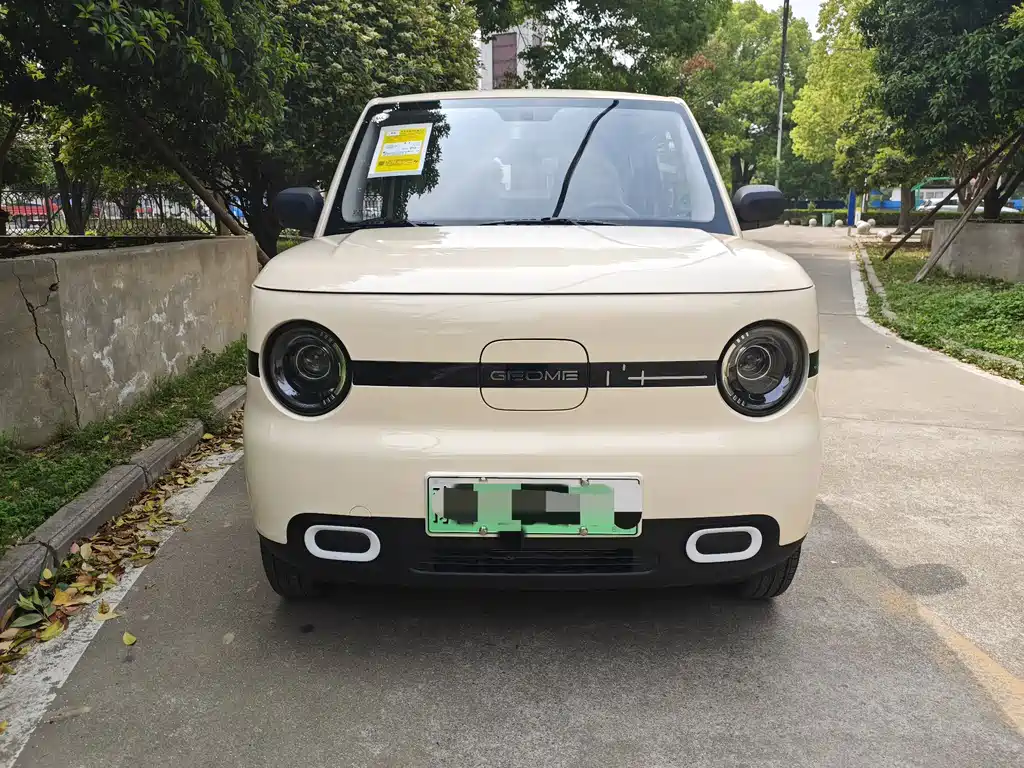 GEELY GALAXY PANDA