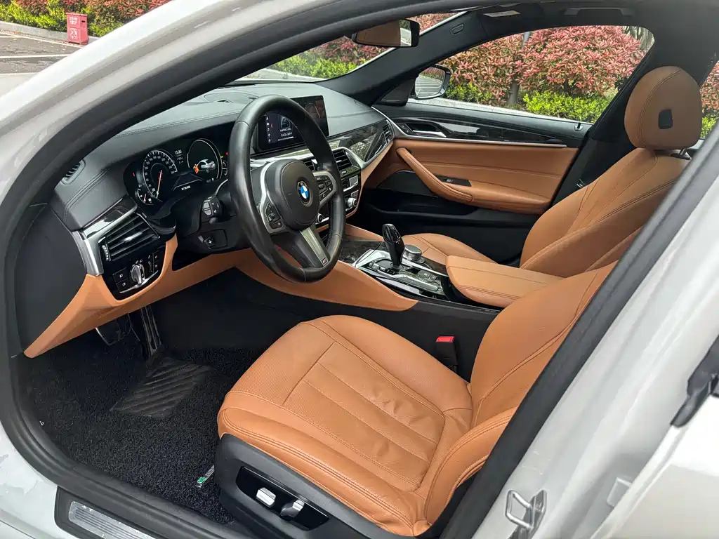 BMW 5 Series 5 2018 530Li Premium M Sport