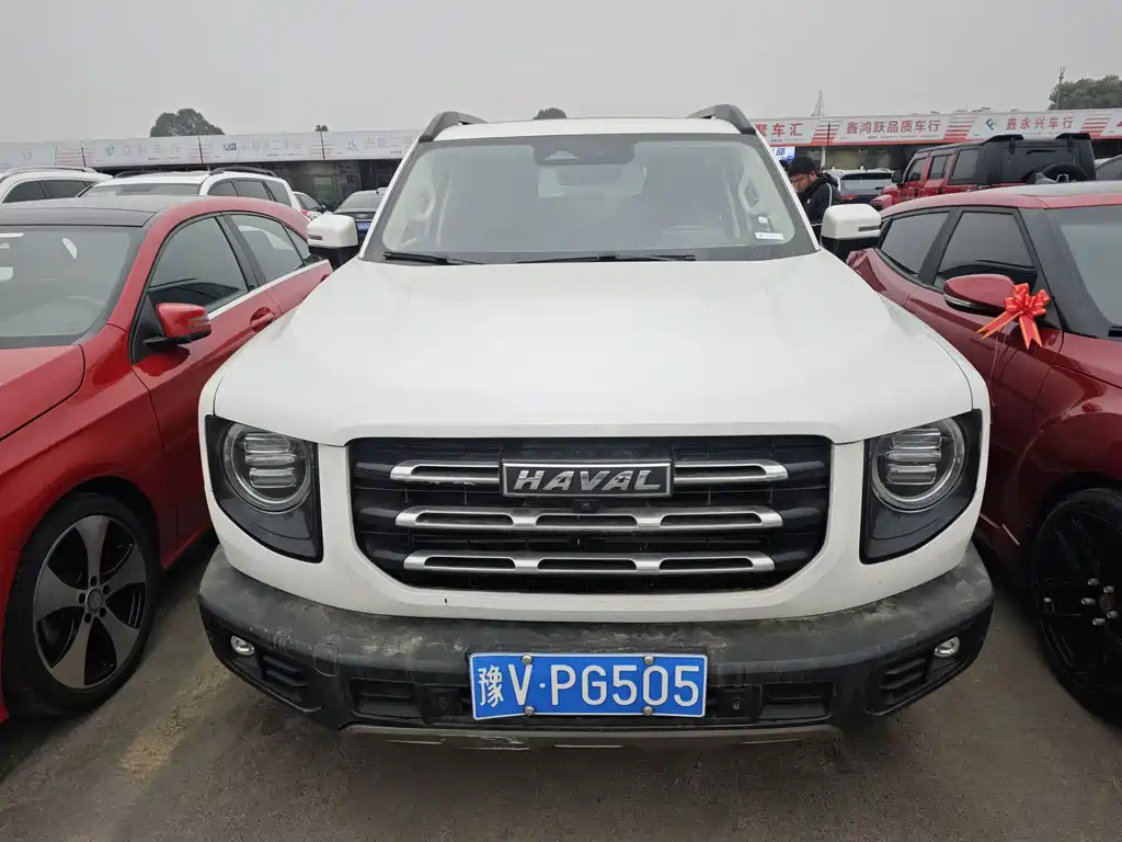 HAVAL BIG DOG