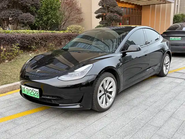 TESLA MODEL 3 2021