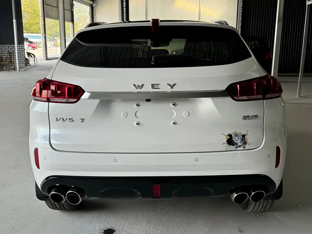 Wey VV5 1.5T 2WD Beauty Pioneer, фото 5