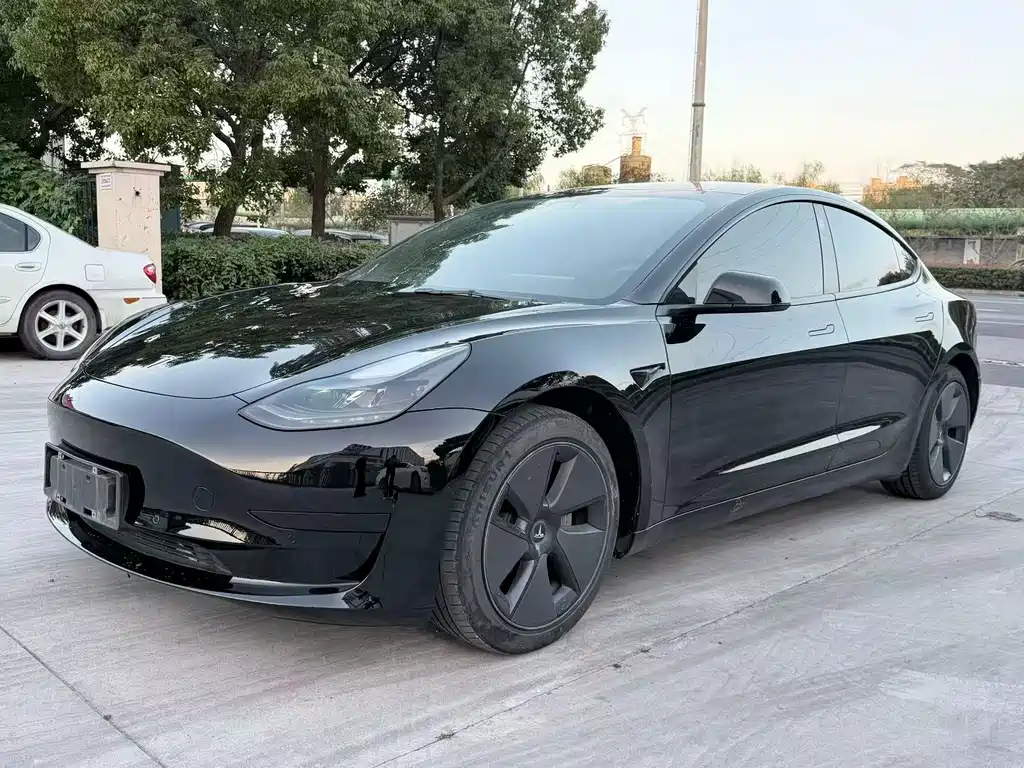 Tesla Model 3 — миниатюра 3