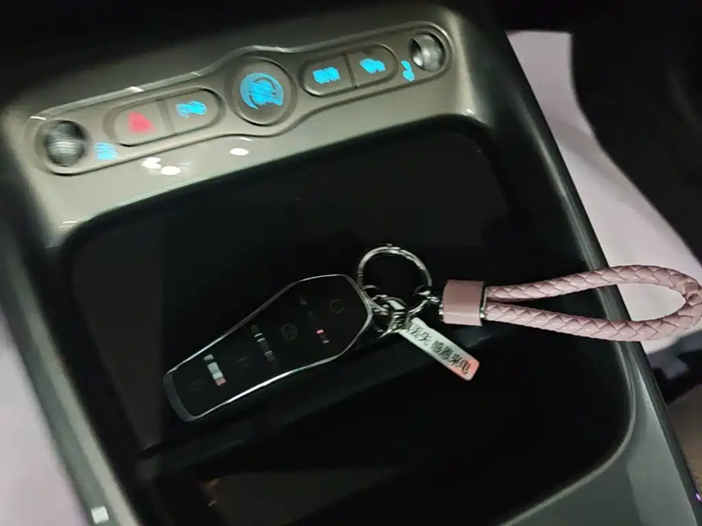 BYD Dolphin 2025 Smart Drive 410km Fashion