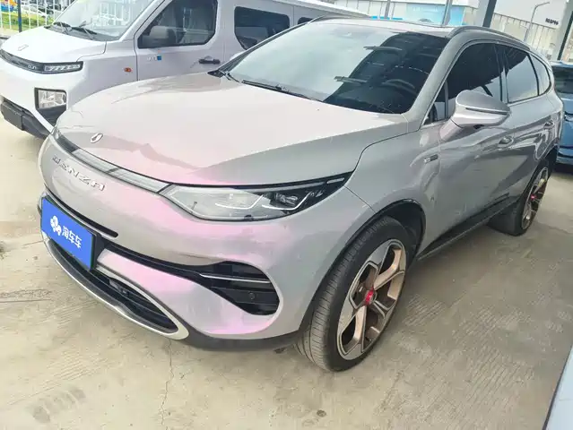 2021 Denza X