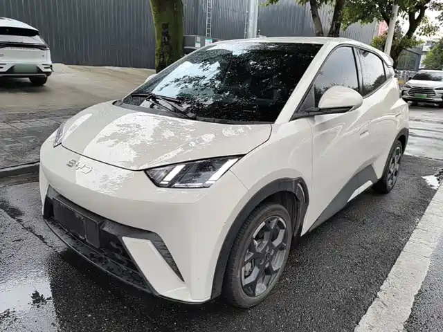 2025 BYD Seagull