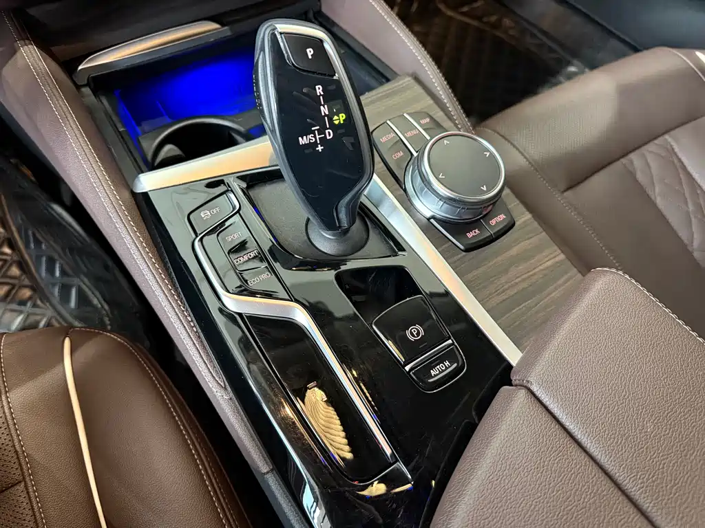 BMW 5 Series 5 2023 530Li Lead Luxury