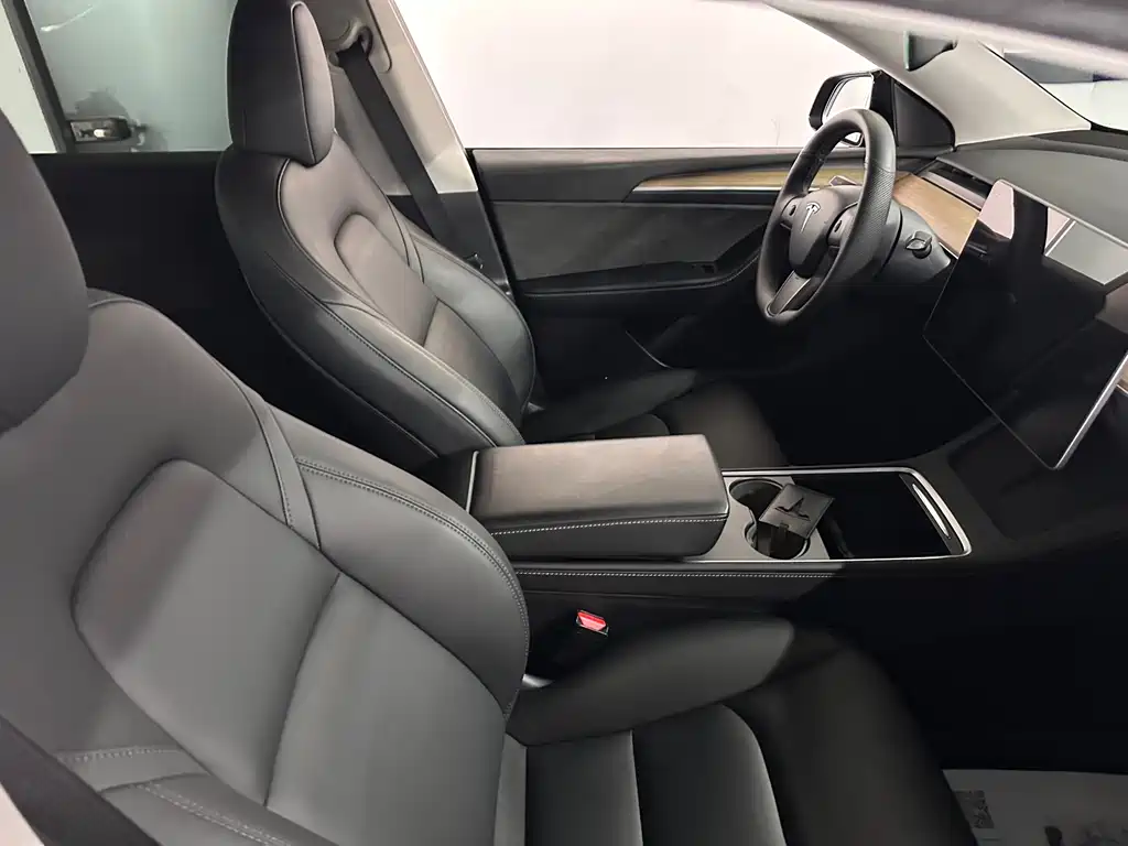 Tesla Model Y — миниатюра 4