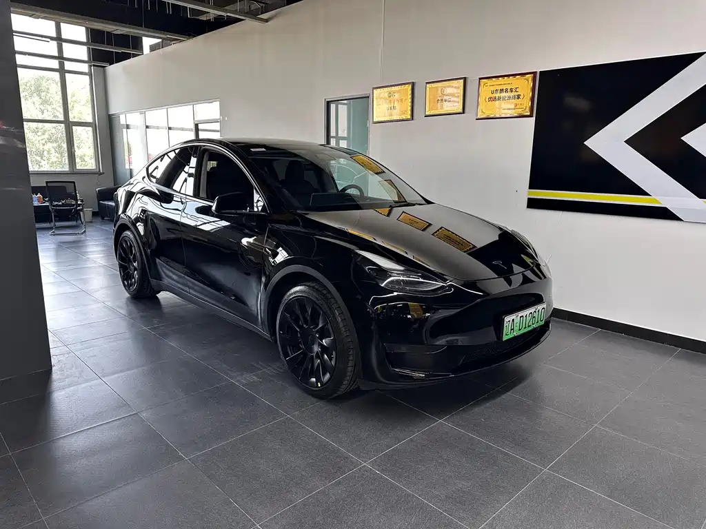 Tesla Model Y — миниатюра 6