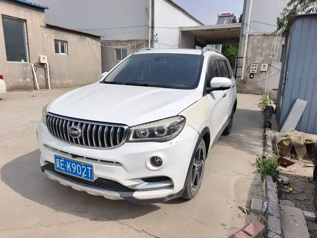 Купить SWM SWM X7