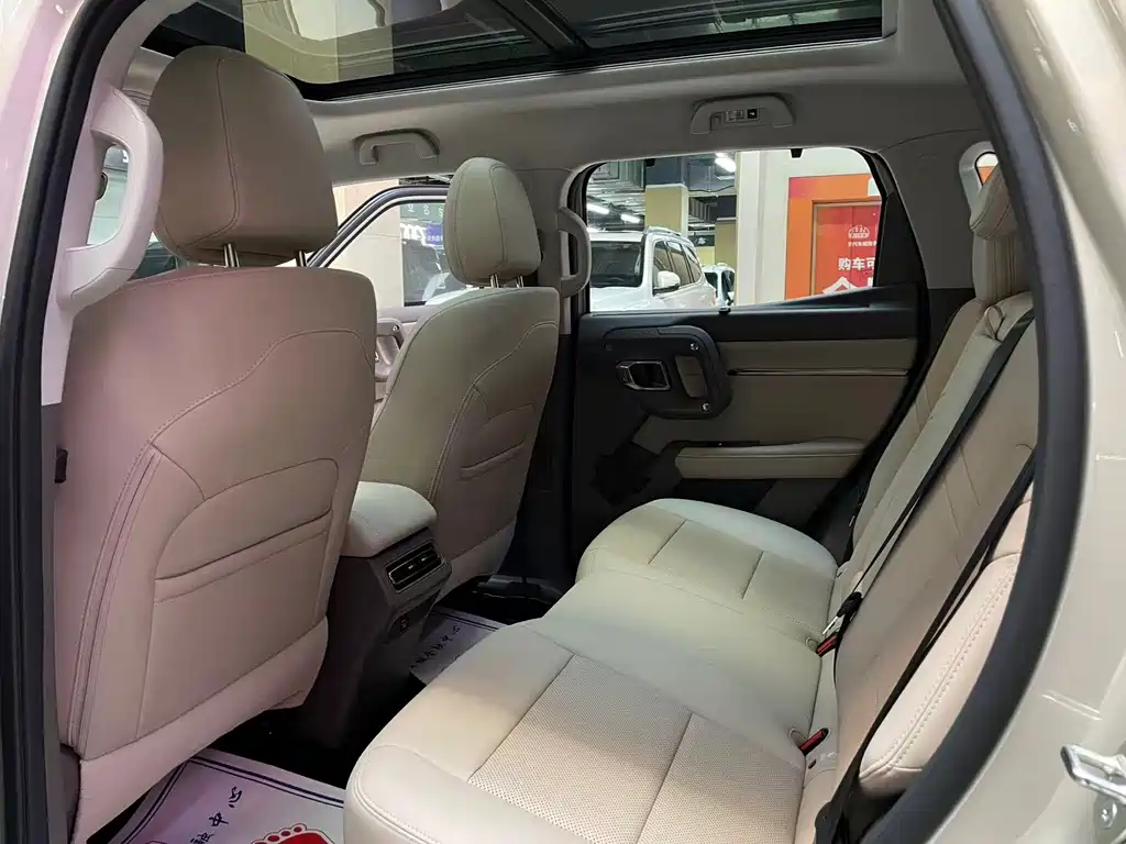 Haval Big Dog PLUS New Energy — миниатюра 13