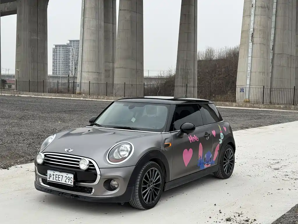 Mini Mini 2018
