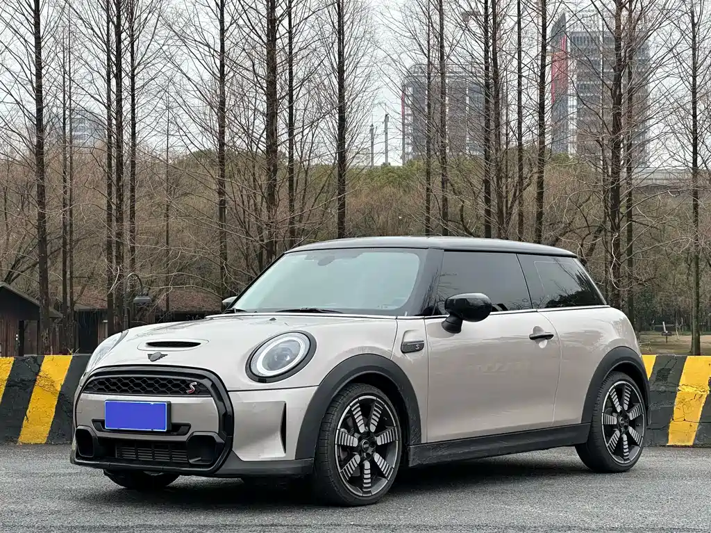 Mini Mini 2021