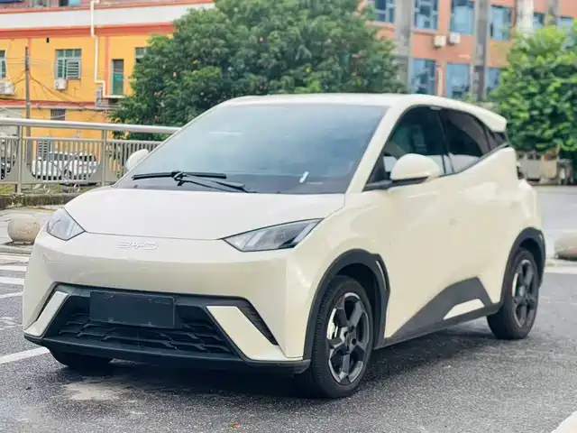 2024 BYD Seagull