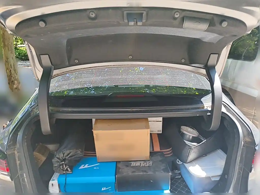 Changan Raeton Plus PLUS 2023 1.5T DCT Luxury